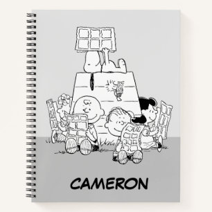Carnet Peanuts Gang Lecture Comics