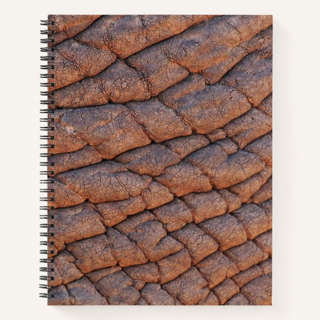 Carnet Peau d'éléphant (Devant)