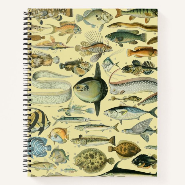 Carnet Pêche scientifique vintage (Devant)