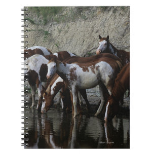 Carnet Peignez le boire de chevaux