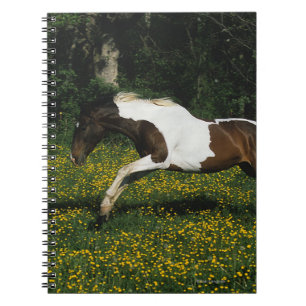 Carnet Peignez le cheval fonctionnant dans le domaine des