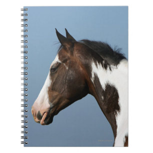 Carnet Peignez le Headshot 1 de cheval