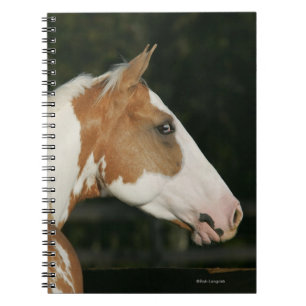 Carnet Peignez le Headshot 2 de cheval