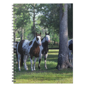 Carnet Peignez les chevaux dans les arbres