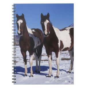 Carnet Peignez les chevaux se tenant dans la neige