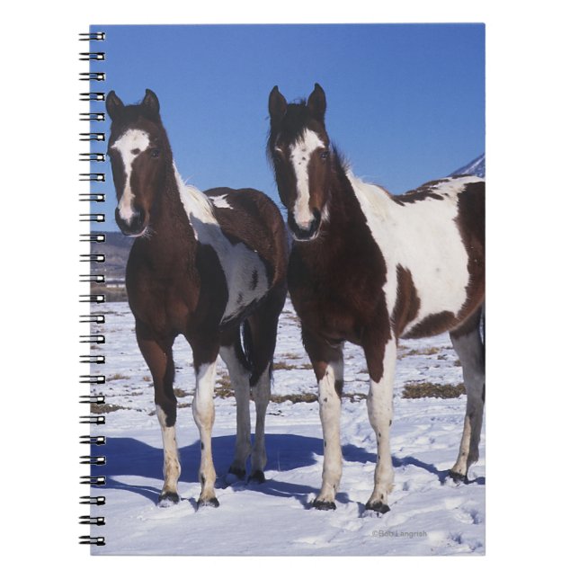 Carnet Peignez les chevaux se tenant dans la neige (Devant)