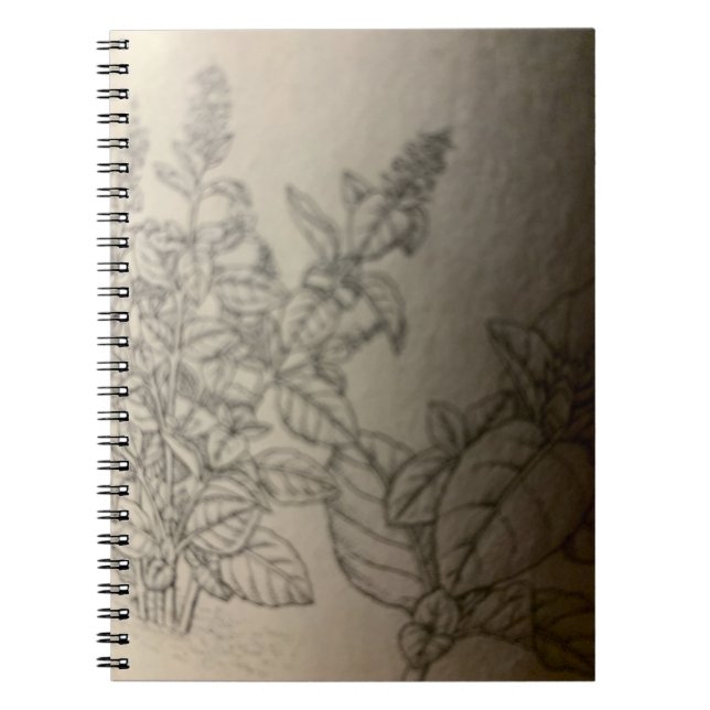 Carnet peindre le basilic. (Devant)