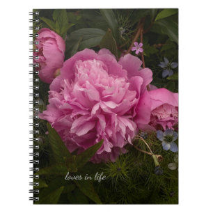 Carnet Peine rose et amour dans un brouillard