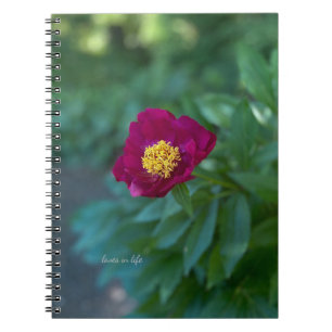 Carnet Peine unique