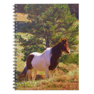 Carnet Peint Poney par le pin