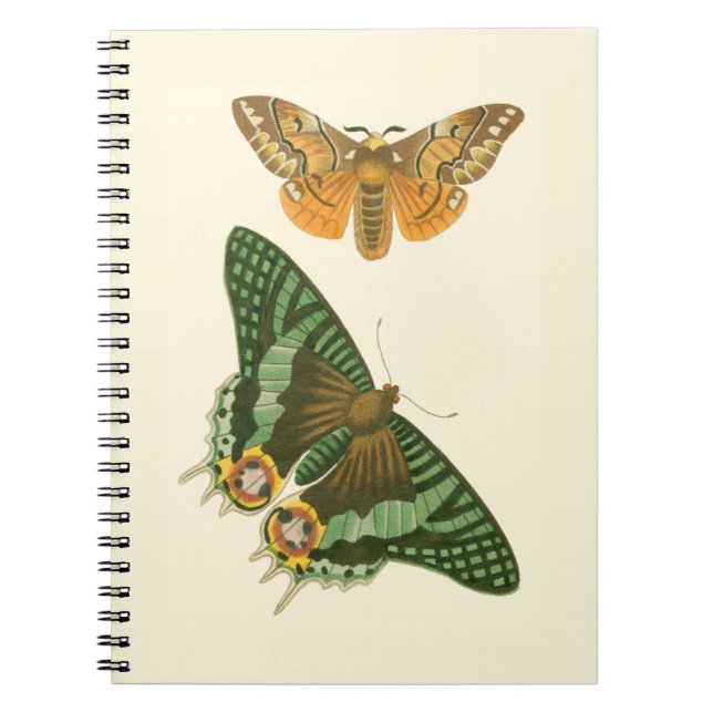 Carnet Peinture à papillon légèrement frontière (Devant)