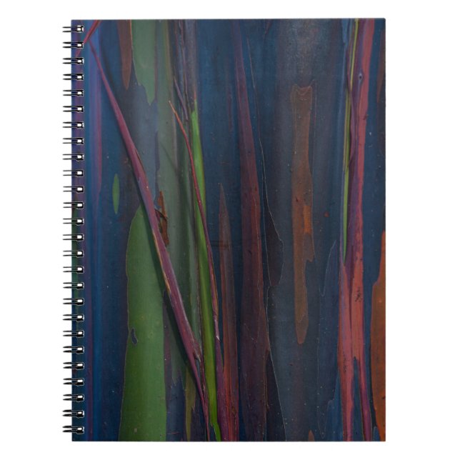 Carnet Peinture abstraite bleu vert et marron (Devant)