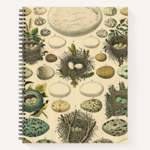 Carnet Peinture artistique de nid d'oeuf d'oiseau vintage