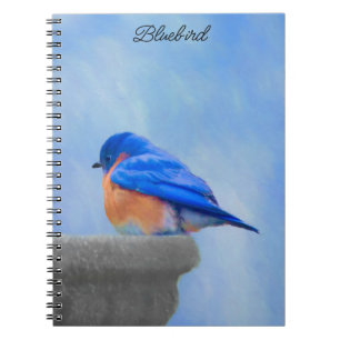 Carnet Peinture Bluebird - Art original pour oiseaux
