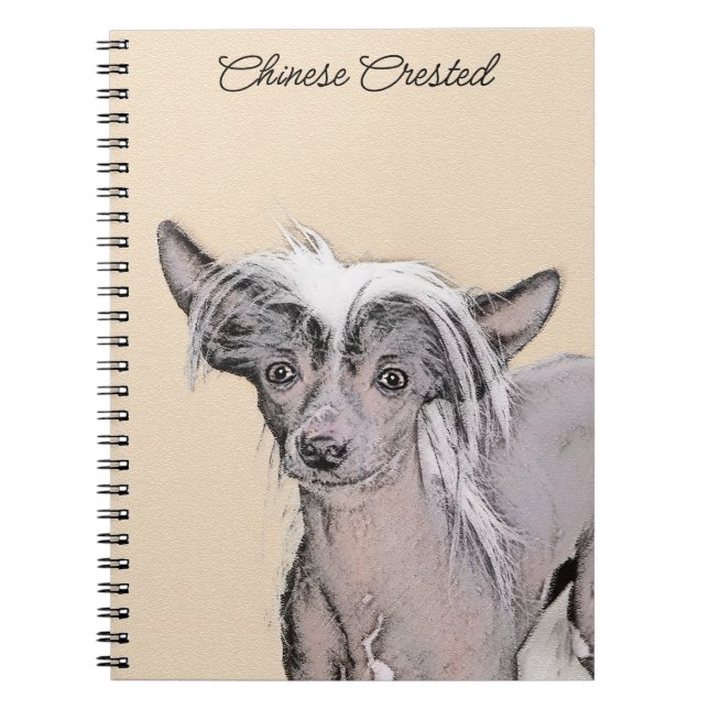 Carnet Peinture Chinoise sans cheveux peint art original  (Devant)