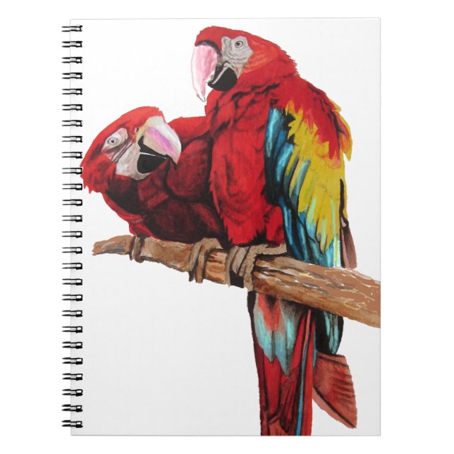 Carnet Peinture couleur rouge Macaw Aquarelle (Devant)