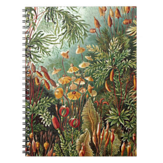 Carnet Peinture de la mousse de Haeckel, de l'herbe et de