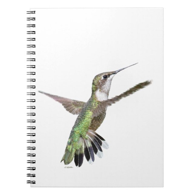 Carnet Peinture des colibris de Berylline (Devant)