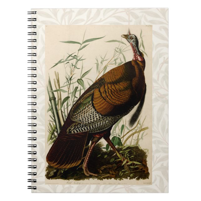 Carnet Peinture d'oiseaux sauvages de Turquie Audubon (Devant)