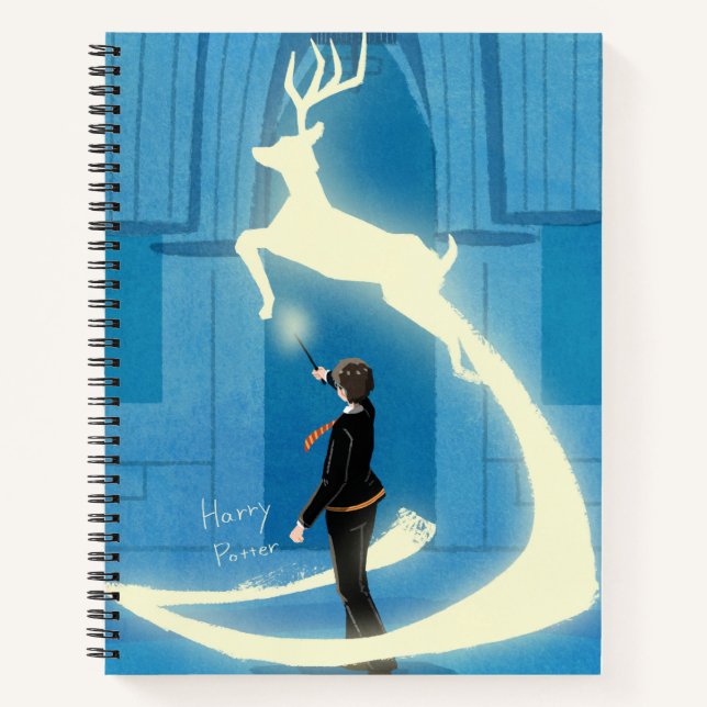 CARNET PEINTURE DU PATRONUS™ HARRY POTTER (Devant)