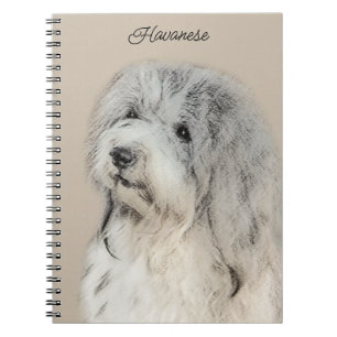 Carnet Peinture Havanaise (Gold Sable) - Art Chien origin