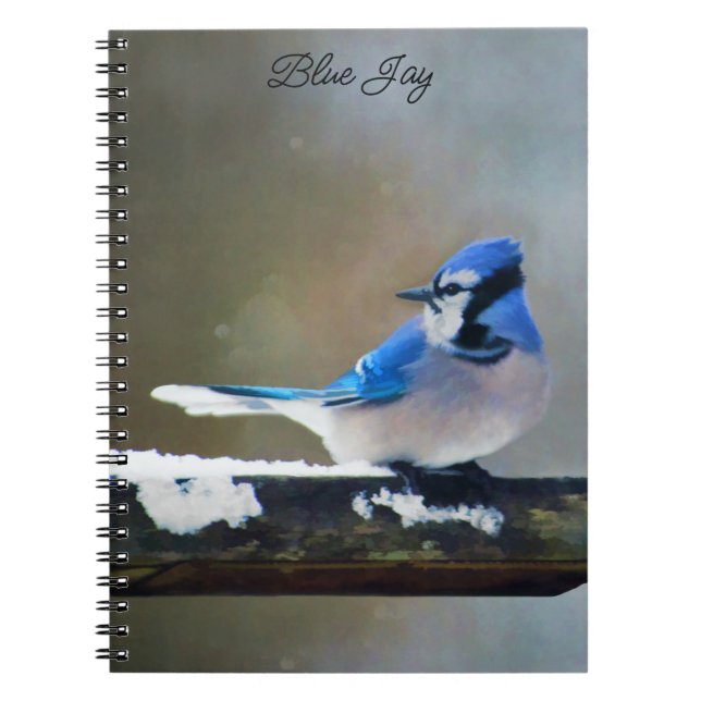 Carnet Peinture Jay Bleu - Art Oiseau Original (Devant)