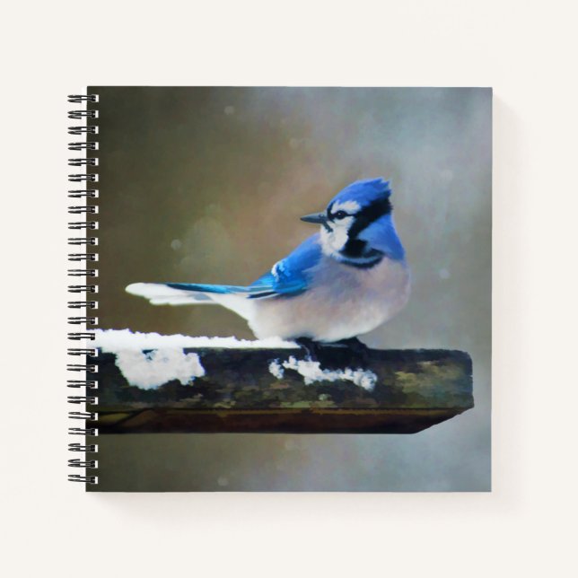 Carnet Peinture Jay Bleu - Art Oiseau Original (Devant)