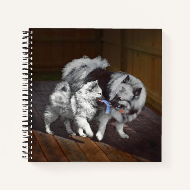 Carnet Peinture Keeshond Playtime - Jolie art original ch (Devant)