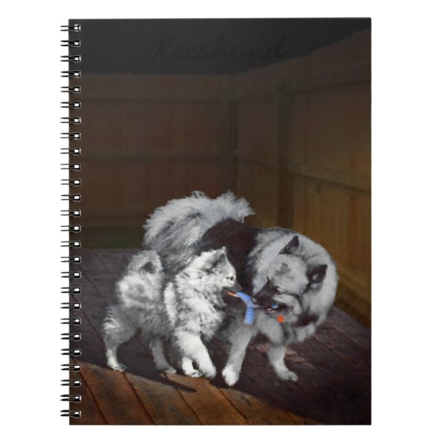 Carnet Peinture Keeshond Playtime - Jolie art original ch (Devant)