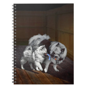 Carnet Peinture Keeshond Playtime - Jolie art original ch