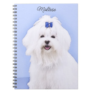 Carnet Peinture maltaise - Joli art original pour chien