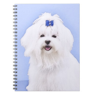 Carnet Peinture maltaise - Joli art original pour chien
