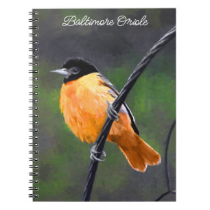 Carnet Peinture Oriole - Art Oiseau Original