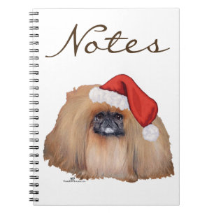 Carnet Pékinois du Père Noël