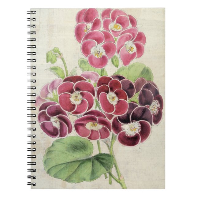 Carnet Pelargoniums vintages de fantaisie (Devant)