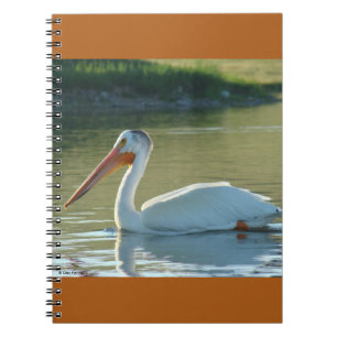 Carnet Pélican blanc B4
