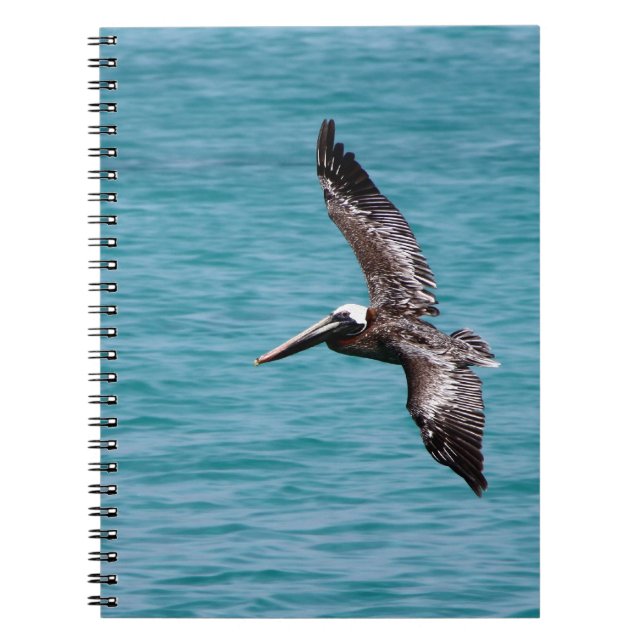 Carnet Pélican en vol (Devant)