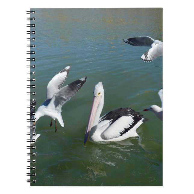 Carnet Pélican et les resquilleurs,  (Devant)
