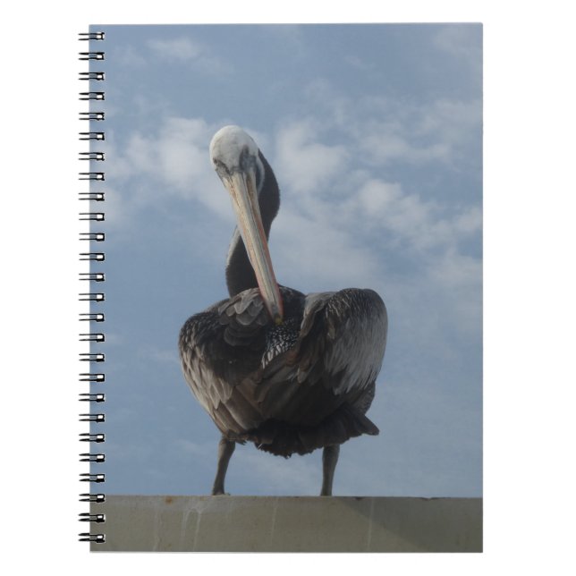 Carnet Pelican from Peru Notebook (Devant)