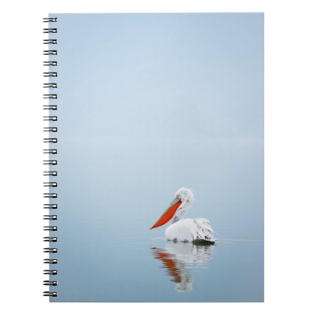 CARNET PELICAN SUR L'EAU BLEU (Devant)