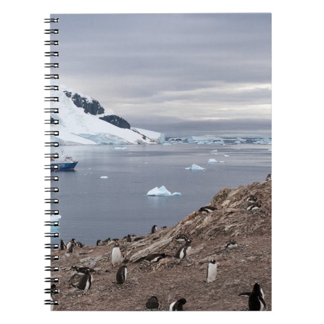 CARNET PENGUINS BESEIN (Devant)