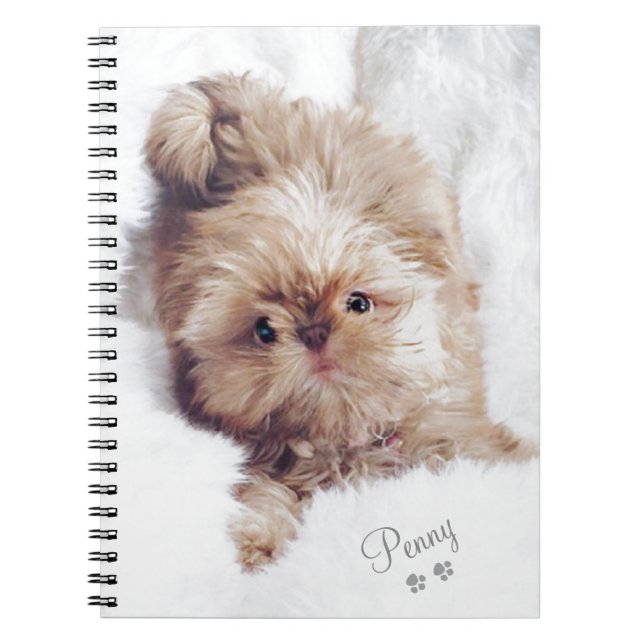 Carnet Penny le foie orange Shih Tzu sur le comprimé du (Devant)