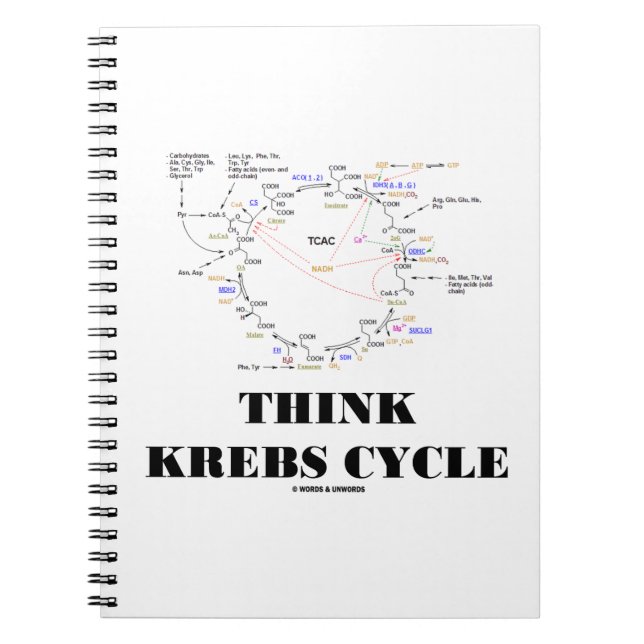 Carnet Pense Krebs Cycle Citric Acid Cycle - TCAC (Devant)
