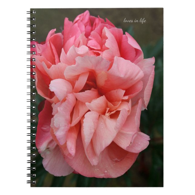Carnet Peony rose (Devant)
