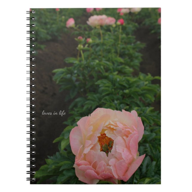 Carnet Peony rose indépendant (Devant)