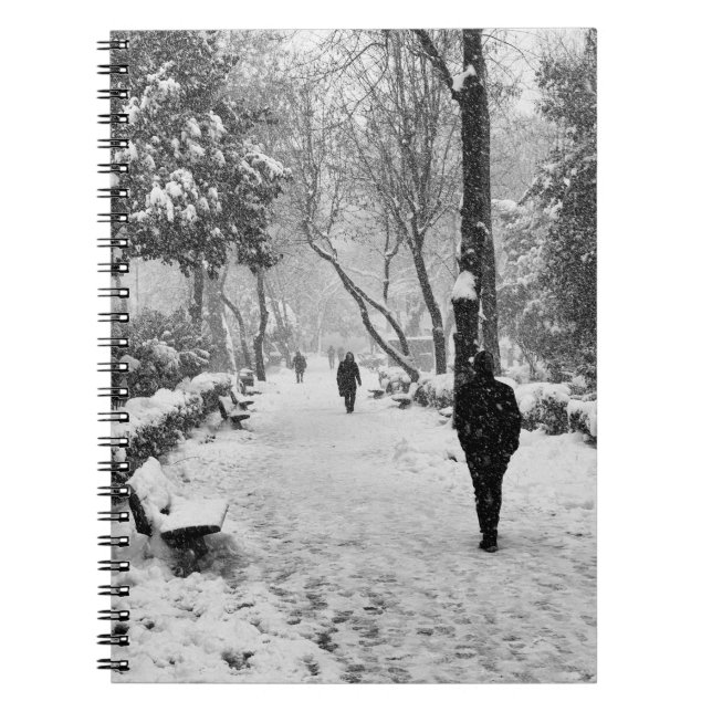 Carnet People at park in snowy winter day (Devant)