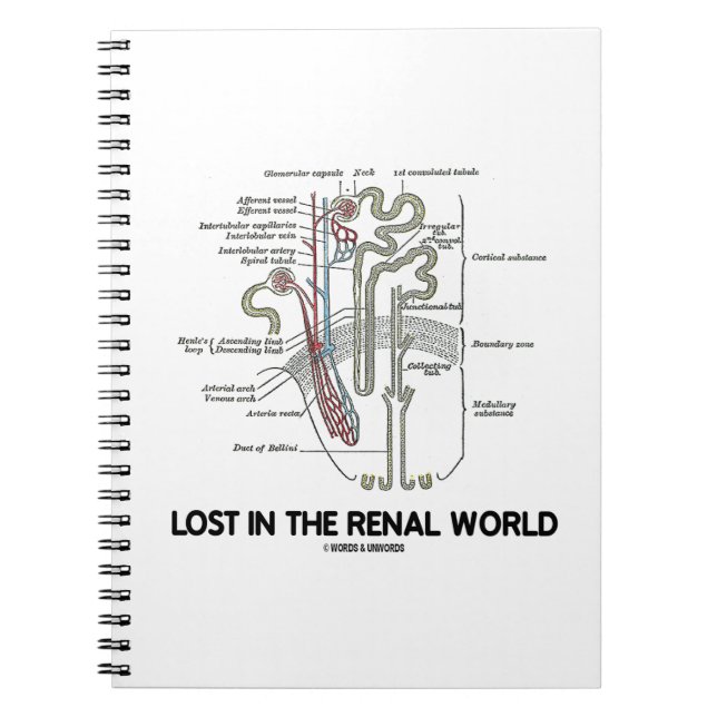 Carnet Perdu Dans Le Néphron Du Rein Du Monde Renal (Devant)