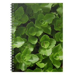 Carnet Perdu en Feuille