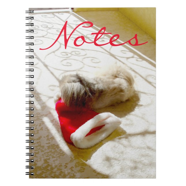 Carnet Père Noël capturé (Devant)