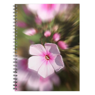 Carnet Périwinkle